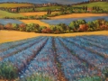 Code BE01 cm 50x40 “Lavanda in Toscana”