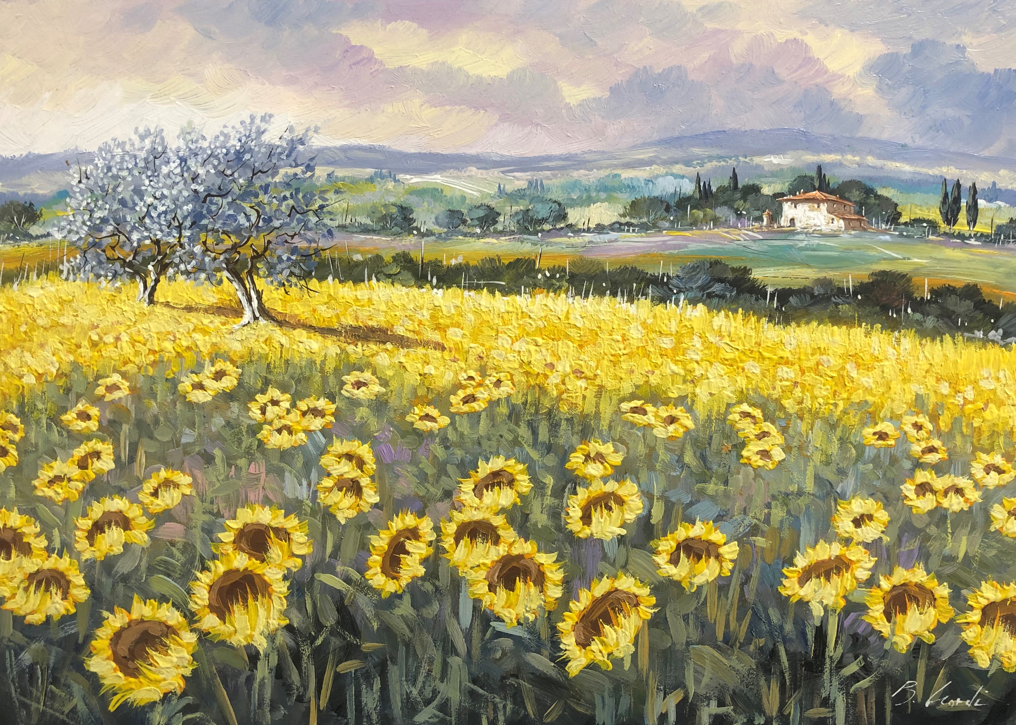 Code N01 cm 35x50 “Girasoli in Toscana”