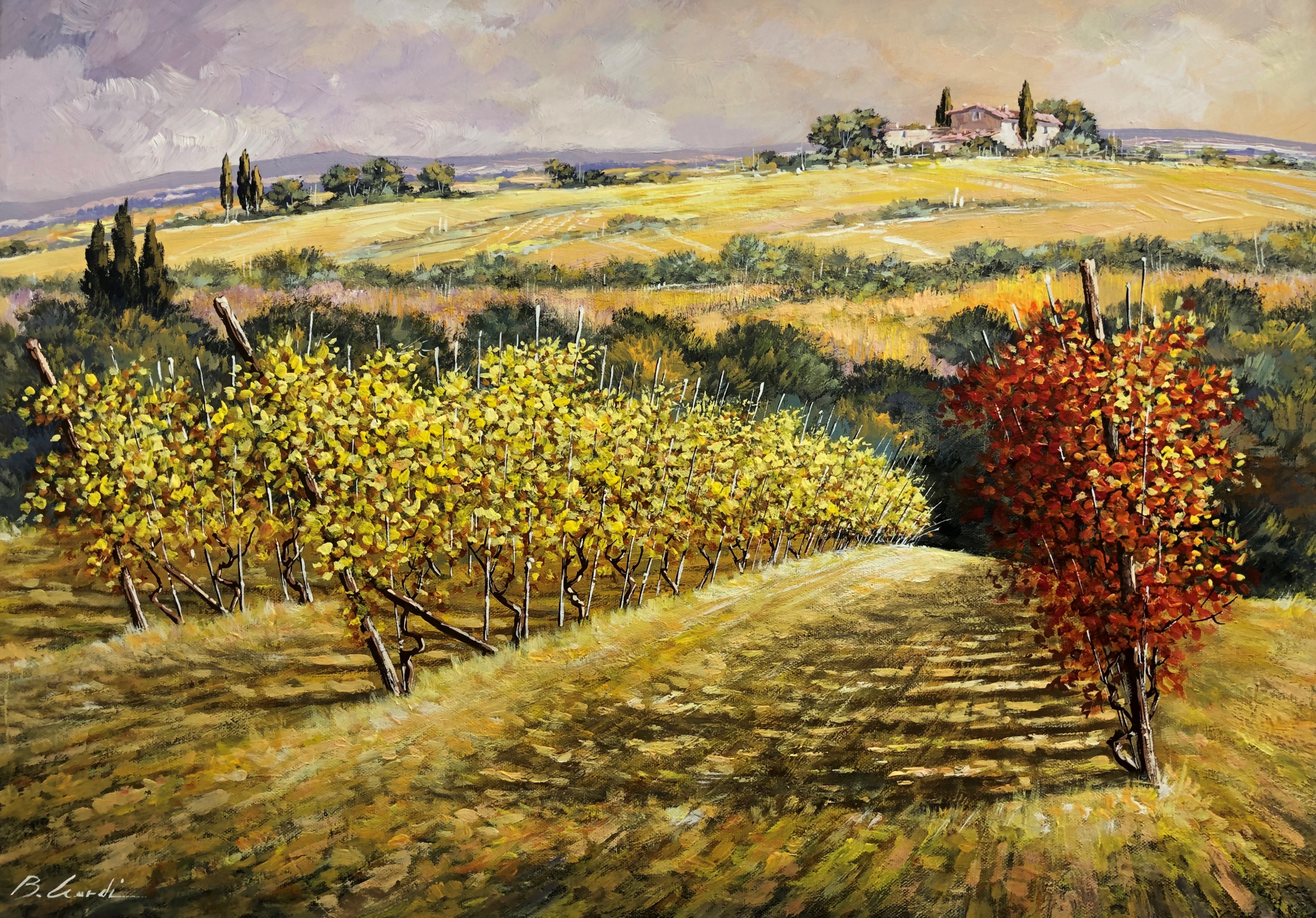 Code N11 cm 50x70 "Vigna in Toscana" gallery