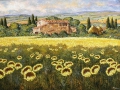 Code N27 Girasoli nella campagna toscana cm. 60x80