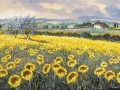 Code N01 cm 35x50 “Girasoli in Toscana”