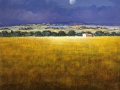 Code N07 cm 40x50 " Panorama in Toscana"