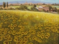 Code N09 cm 50x50 "Girasoli nel senese"