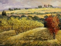 Code N11 cm 50x70 "Vigna in Toscana" gallery