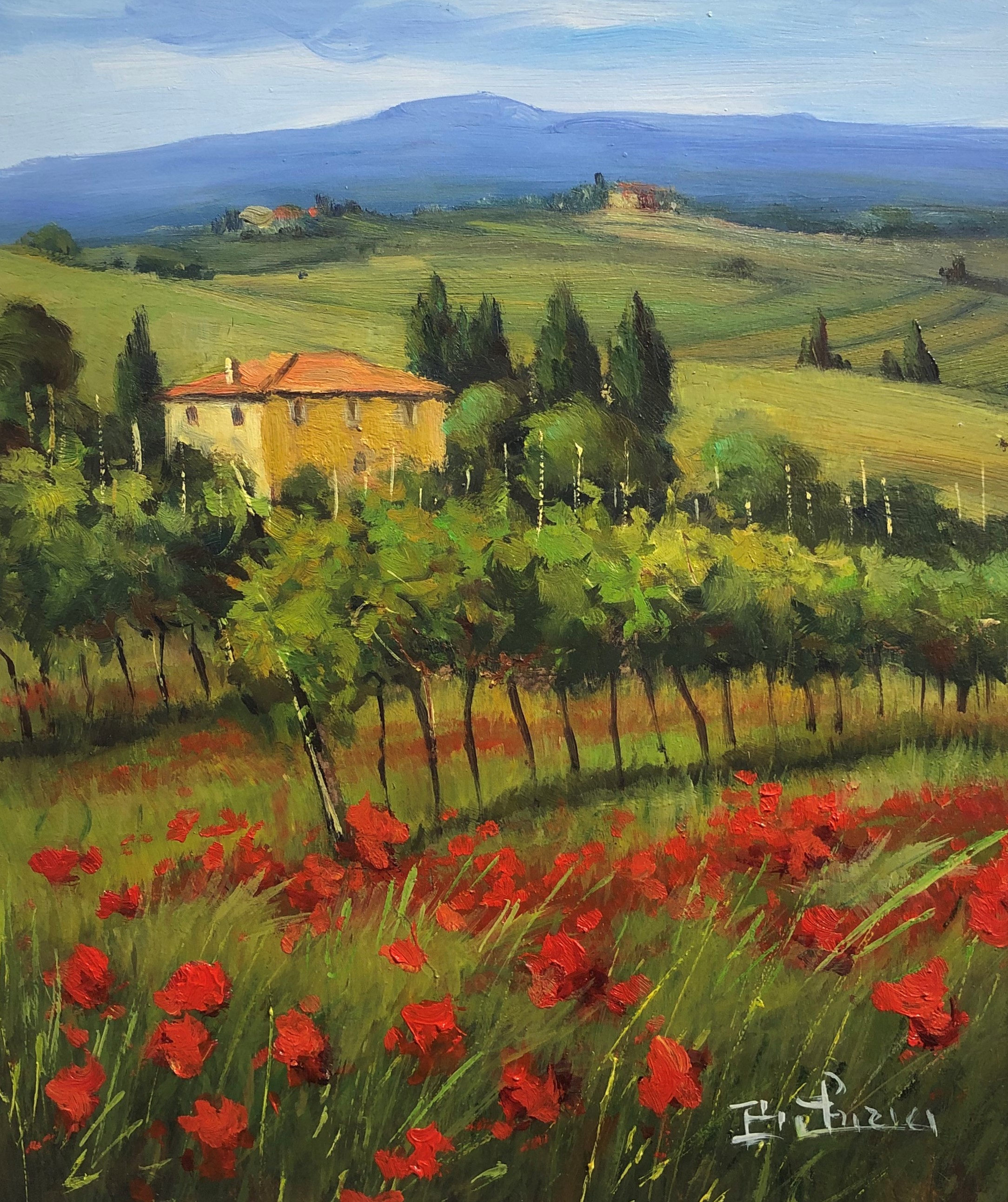 code CH01 cm 40x30 “Campagna toscana”