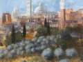 Code FE24 cm 30x30 "Siena"