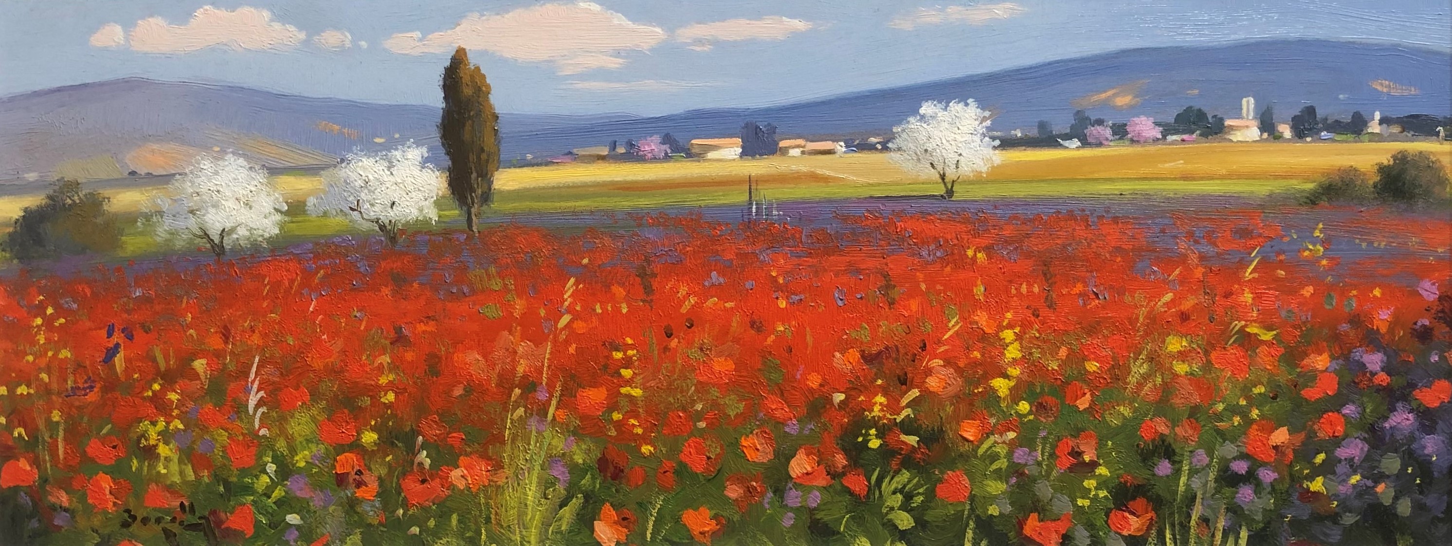 Code BOR02 cm 20x50 “Campagna in primavera”