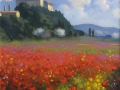 Code BOR01 cm 30x30 “Campagna toscana”